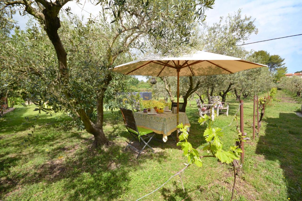 le cabanon de l'olivette - B&B Istres