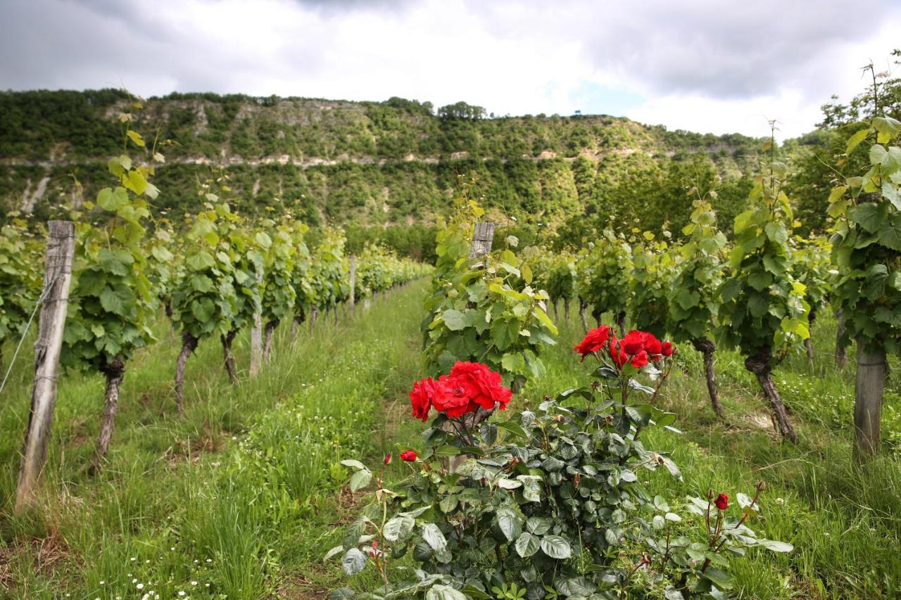 SaS DOMAINE DELMAS - Chambres d’hôtes