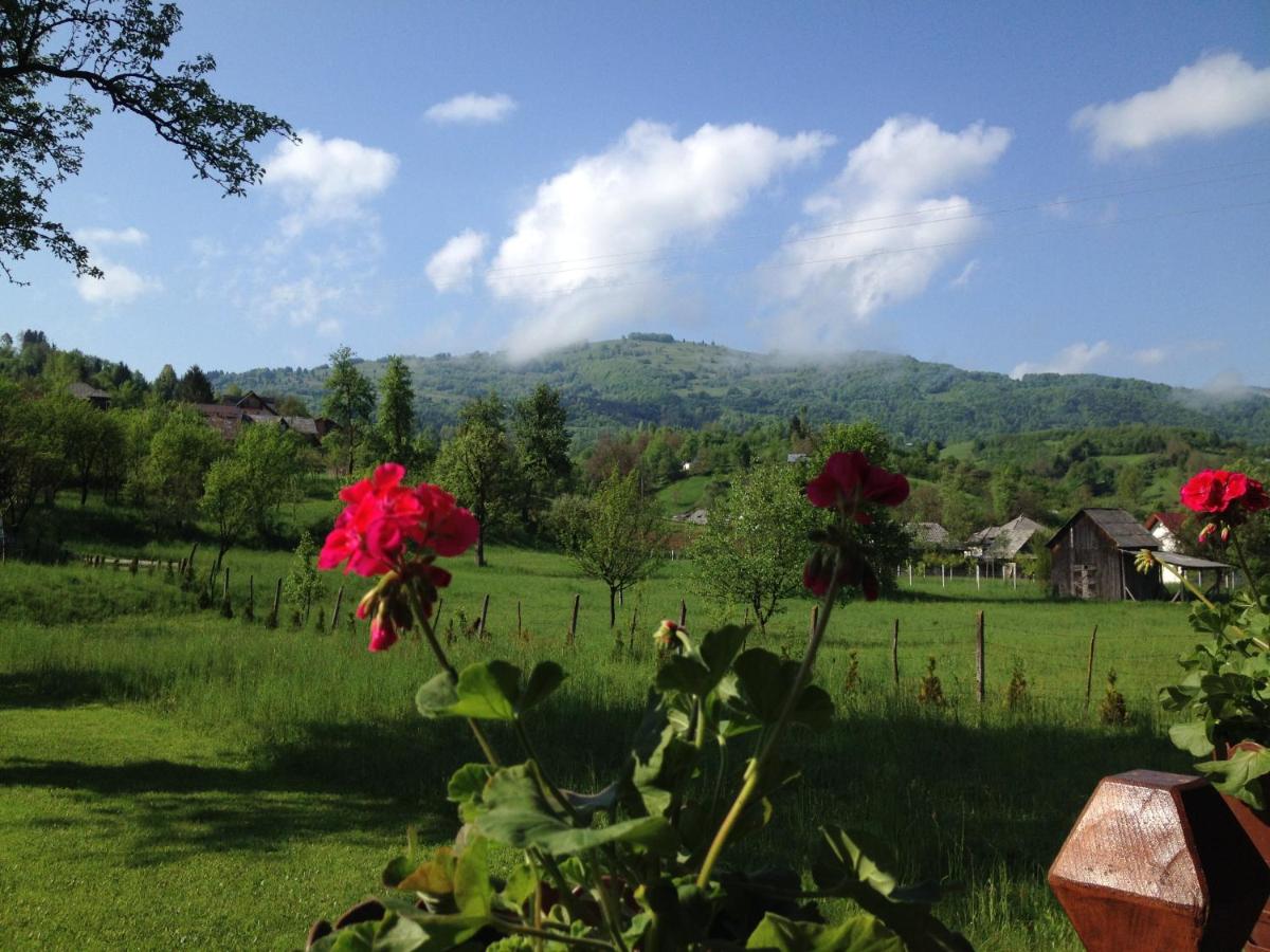 Apartamento con terraza 