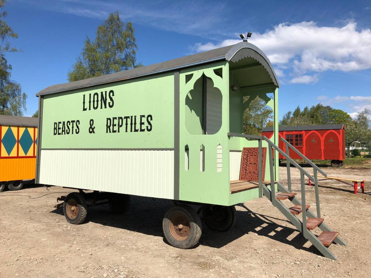 The Lion Tamer's Wagon