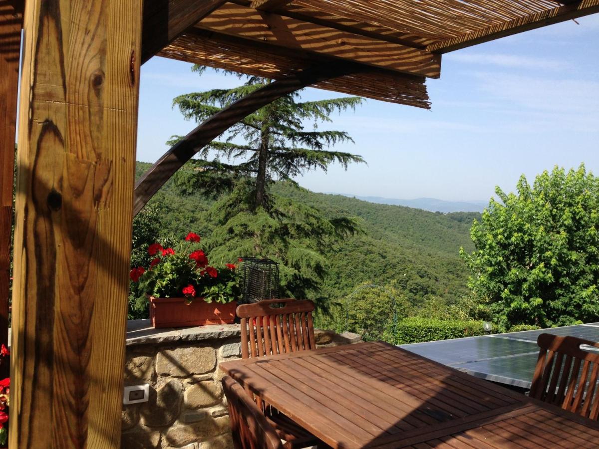 B&B Arezzo - Agriturismo Borgo Nuovo Di Mulinelli - Bed and Breakfast Arezzo