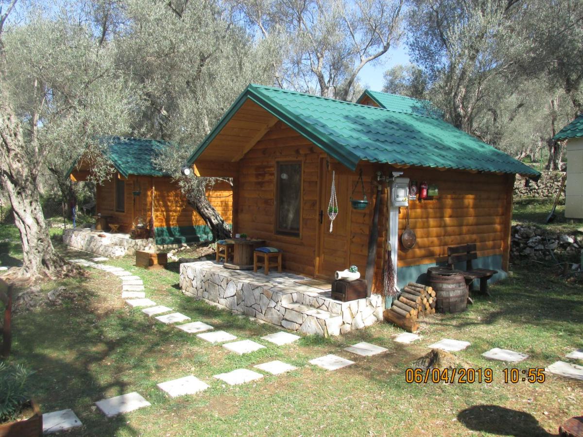 Olive Garden - B&B Dulcigno