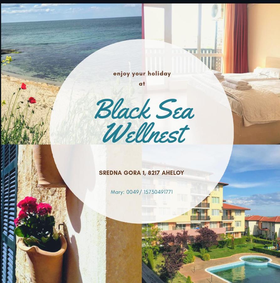 B&B Aheloy - Black Sea Wellnest - Bed and Breakfast Aheloy