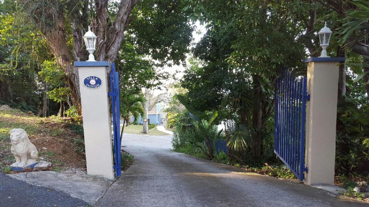 Villa Indigo Sunny 1BR Apartment in Private Gated Estate - Chambres d'hôtes Charlotte Amalie