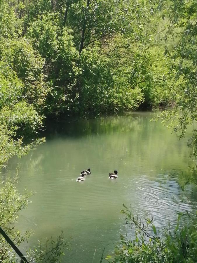 River Bank Apartments & Castle view - Bed and Breakfast Bihac
