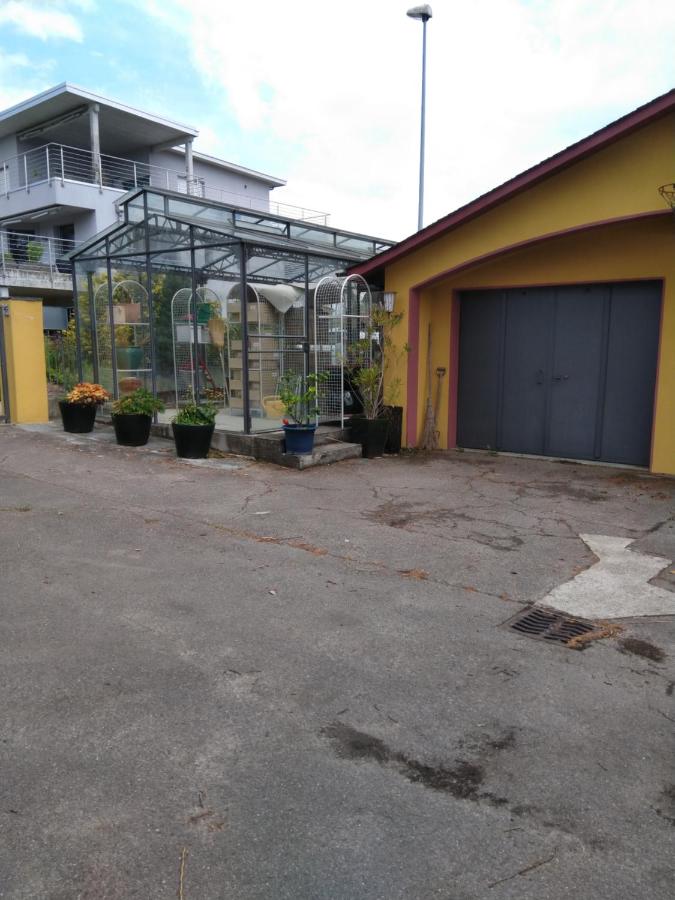 Swiss Borzoi House - B&B Bellerive