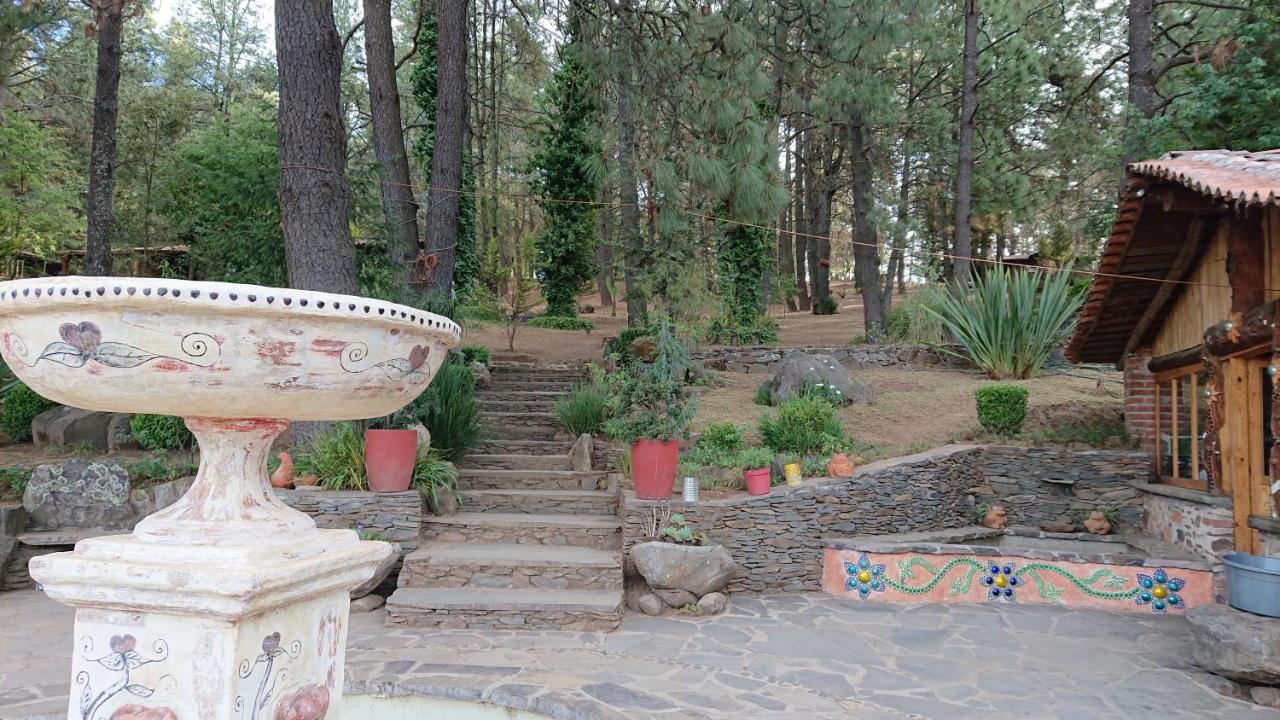 Cabañas Tapalpa Sierra del Tecuan, Cabaña Conejo - Bed and Breakfast Tapalpa