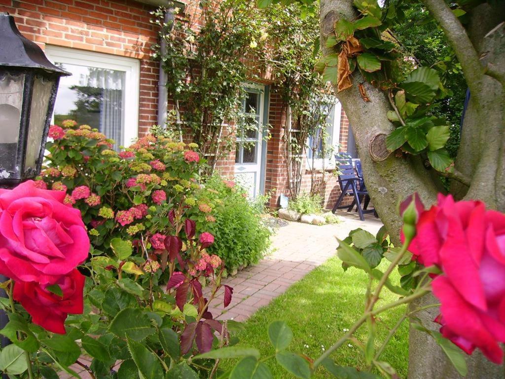 Landhaus op de Warft - Ferienwohnung