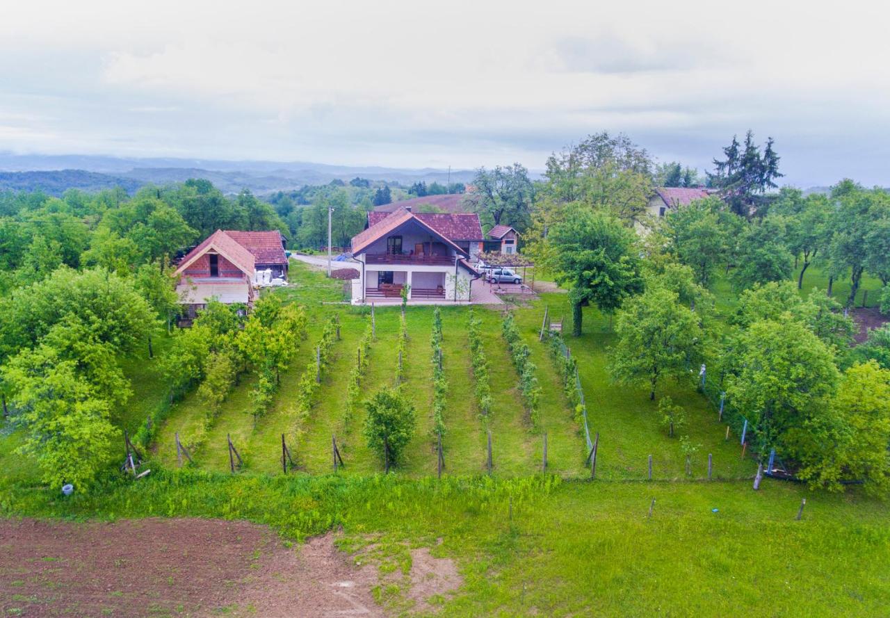 Holiday Home Dandelion with Hot Tub & Sauna - Chambres d’hôtes Cetingrad
