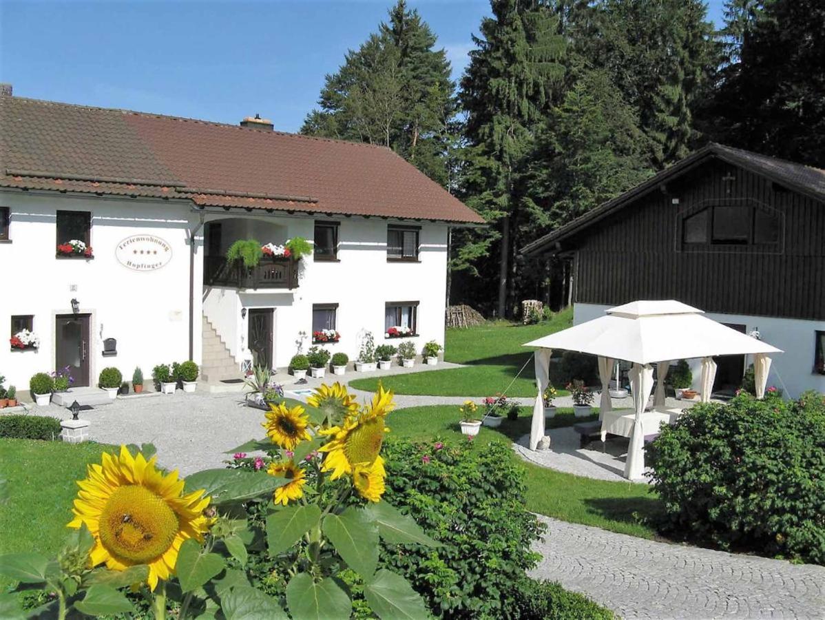 B&B Hohenau - Ferienwohnung Hopfinger - Bed and Breakfast Hohenau