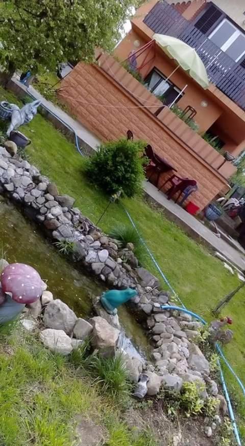 Sweet dreams - Ferienwohnung Zaječar