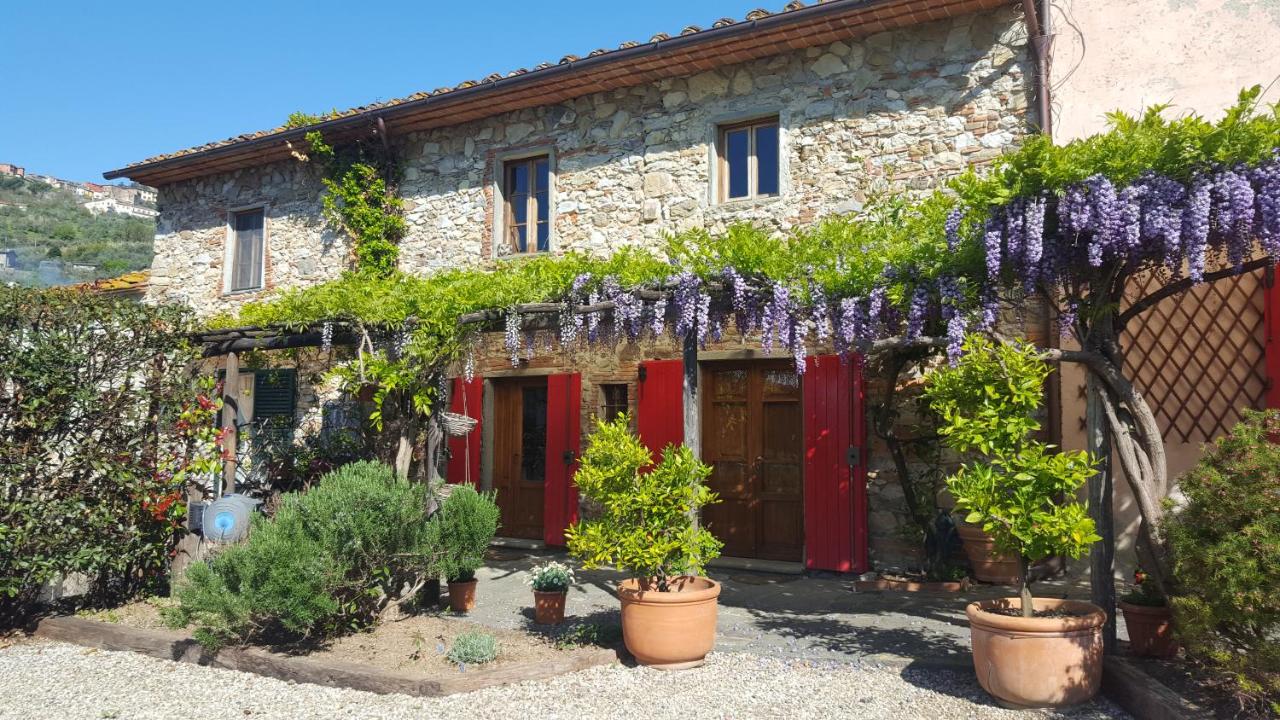 B&B Pieve a Nievole - La Corte del Falco - Bed and Breakfast Pieve a Nievole