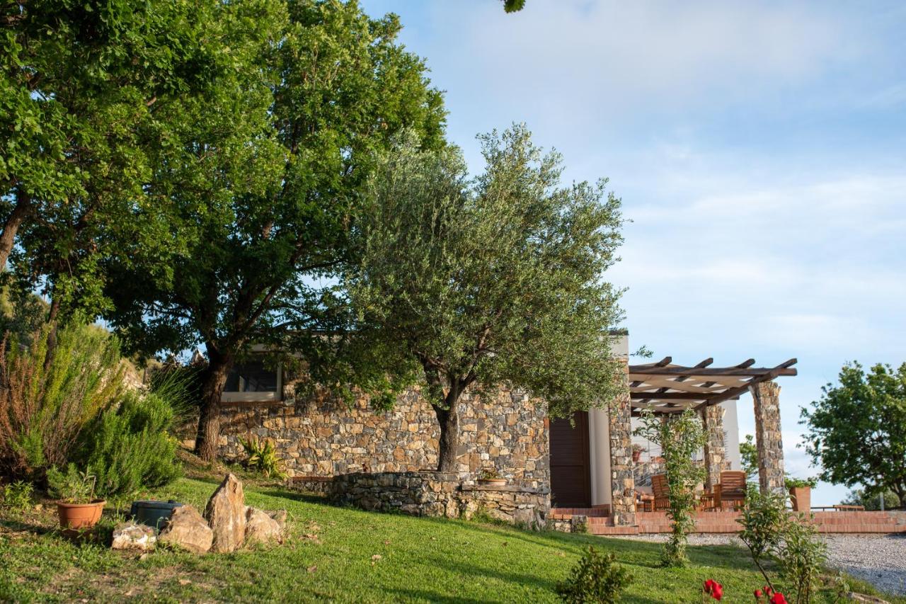 B&B Ascea - Villa Serra d'Elci - Bed and Breakfast Ascea