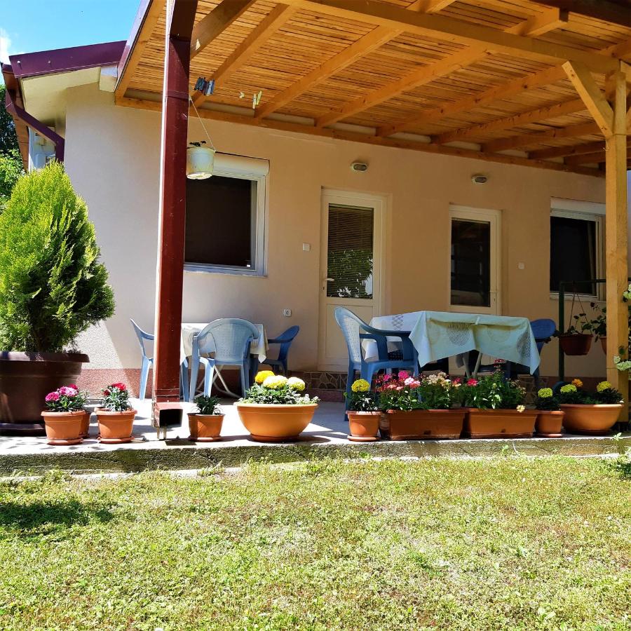 B&B Star Dojran - Apartments Pinikot - Bed and Breakfast Star Dojran