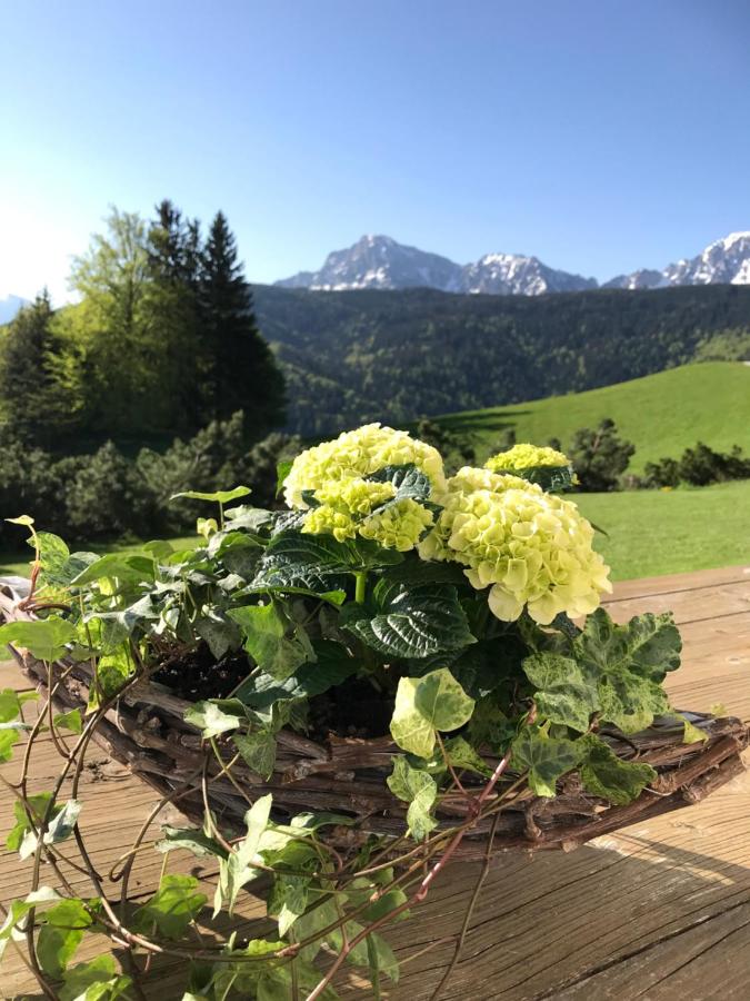 B&B Anger (Berchtesgadener Land) - Haus Freynend - Bed and Breakfast Anger (Berchtesgadener Land)