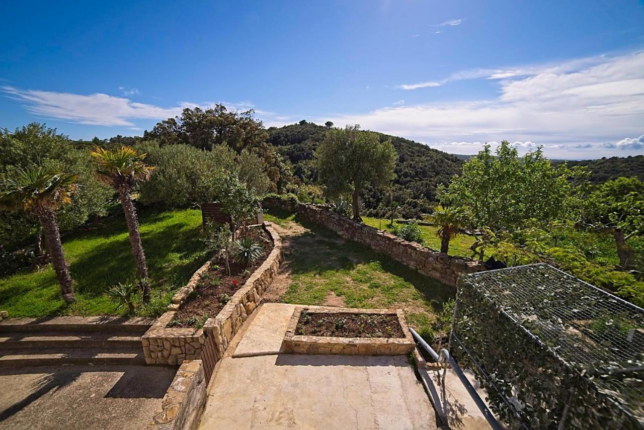 Holiday House Rab - B&B