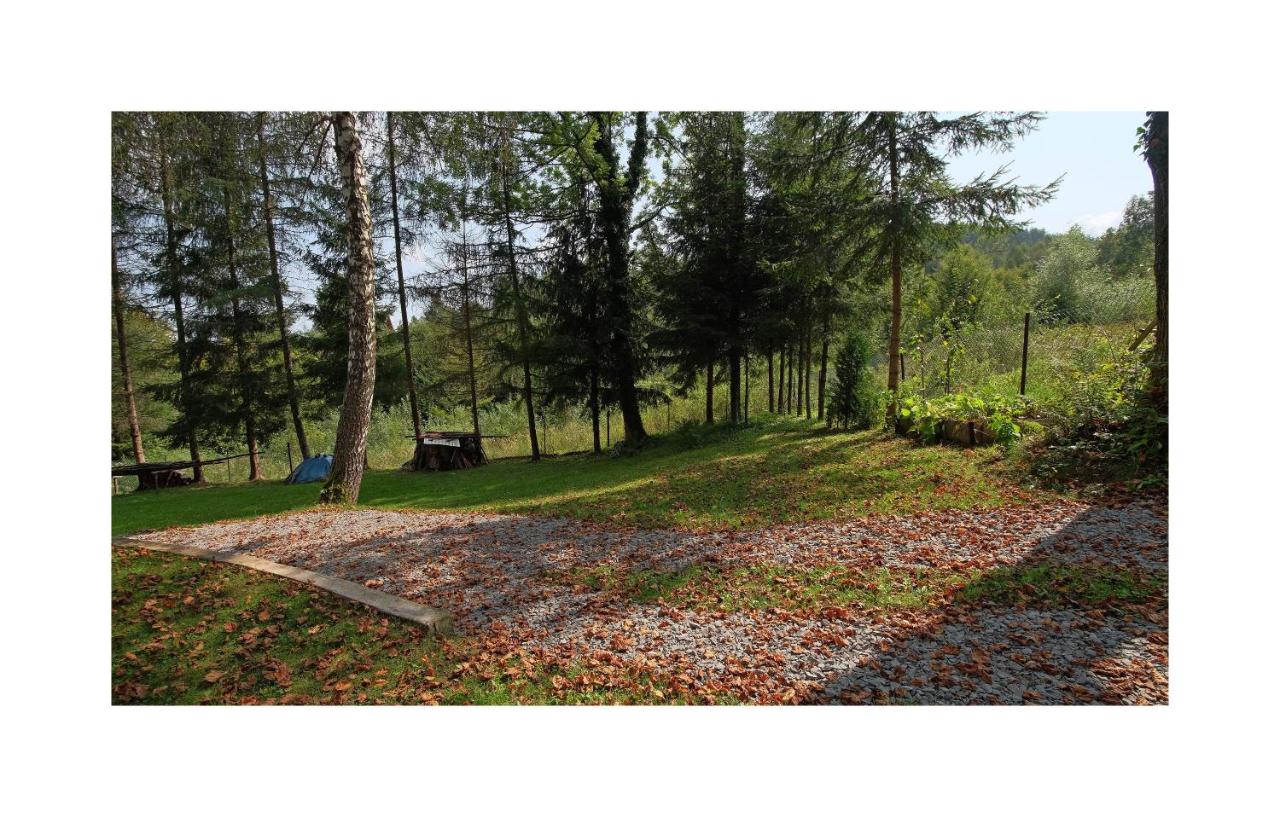 Zacisze - B&B
