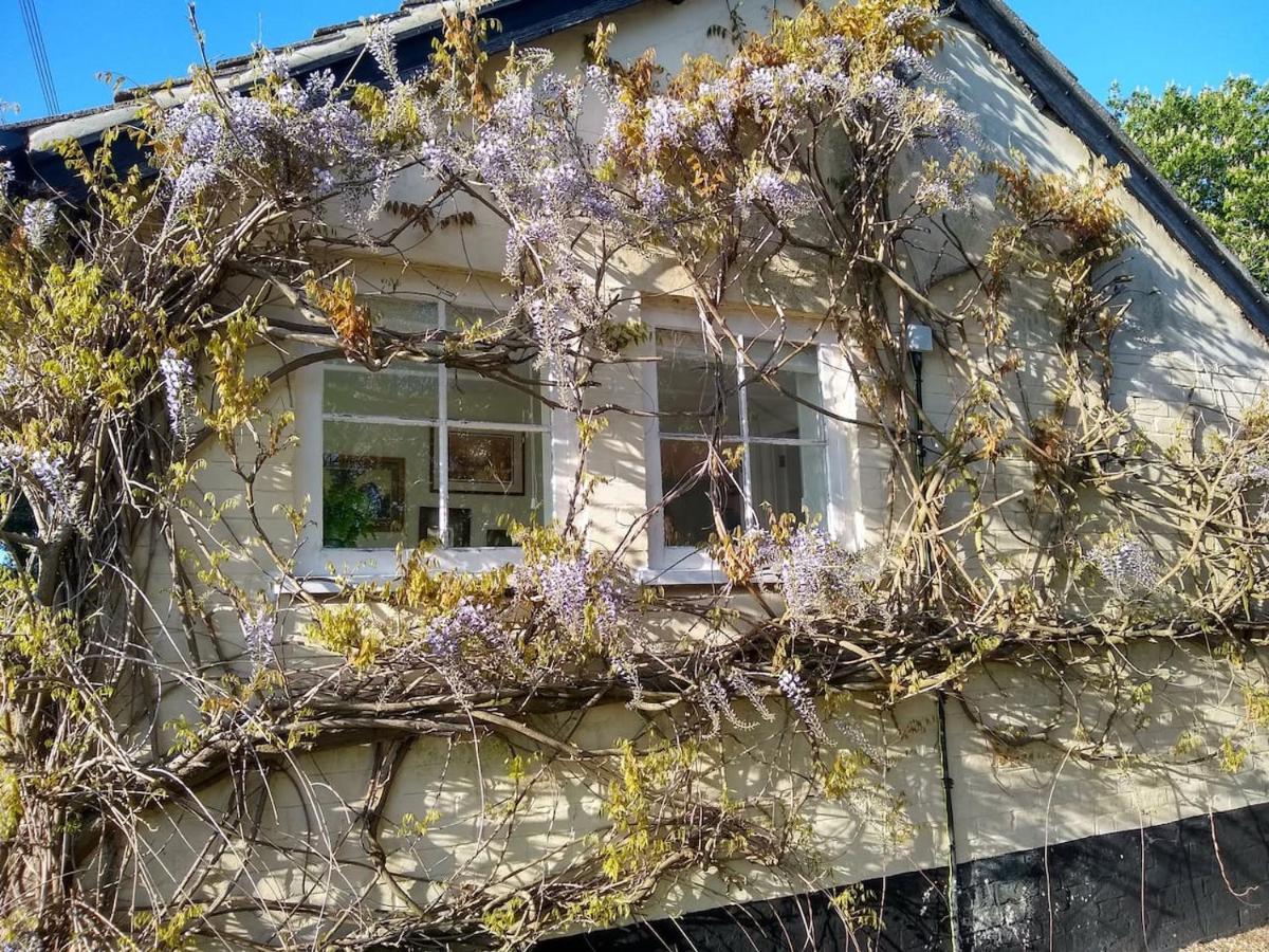 The Annexe - B&B Hawkedon