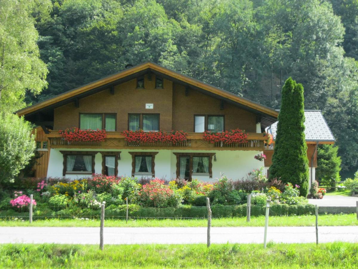 B&B Mellau - Appartements Bischof - Bed and Breakfast Mellau