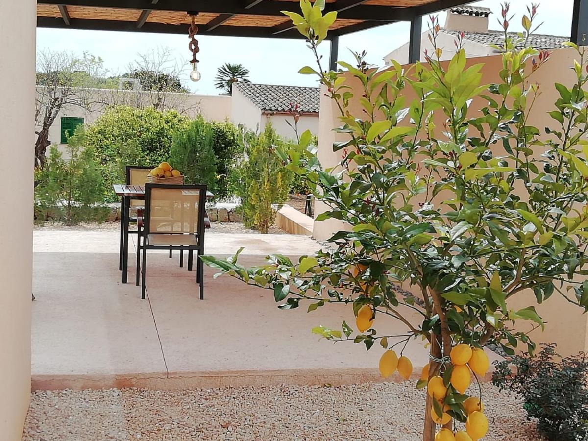 Apartment mit Terrasse