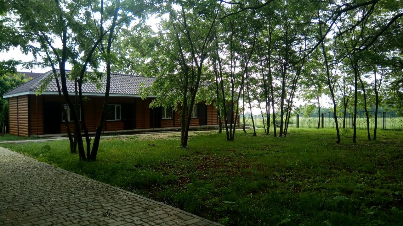 Отель "Лагита" - Ferienwohnung