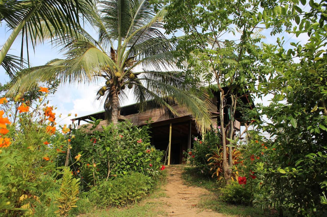 Posada la Ofelia - Ferienwohnung