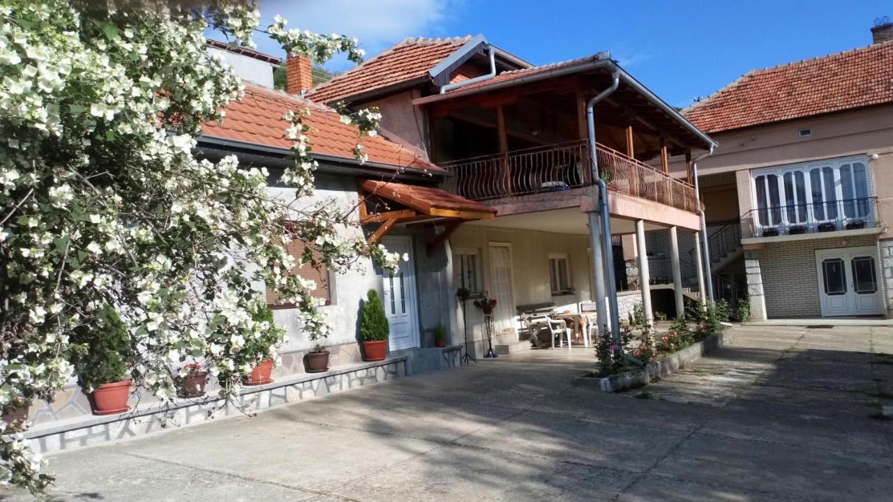 Guest House Green view - Chambres d’hôtes