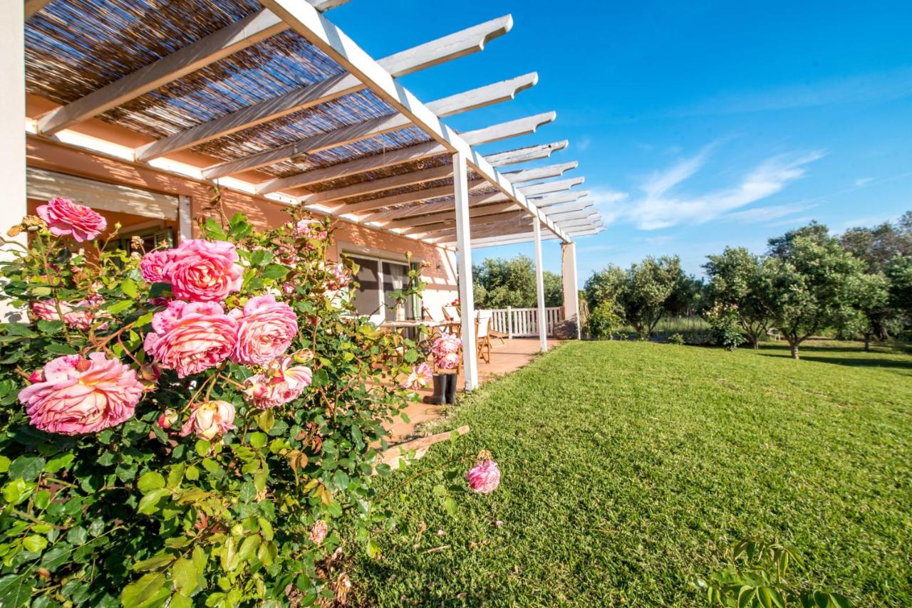 Nobel Gaea - B&B Préveza