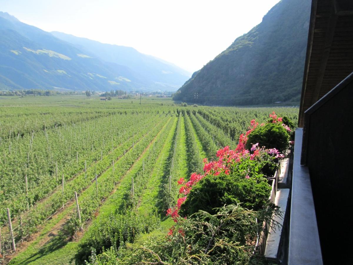 Single Room with Balcony and Mountain View