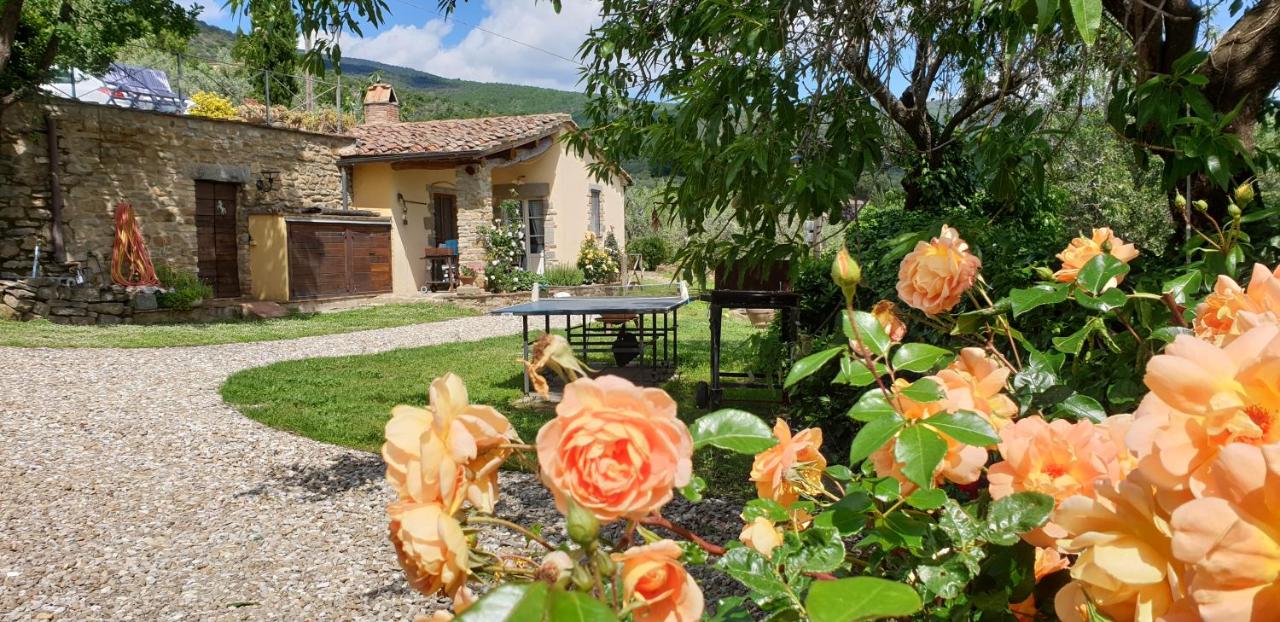 Margherita Holiday Home - Ferienwohnung