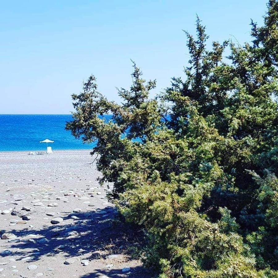 Cedrus and Sea, beachfront house, Gennadi, Rhodes - B&B