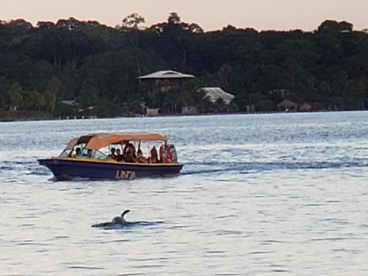 Apartment mit 2 Schlafzimmern und Meerblick (4 Erwachsene)