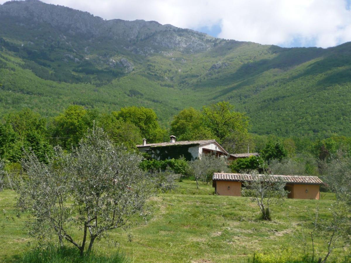 Il Bruco - B&B San Donato Val di Comino