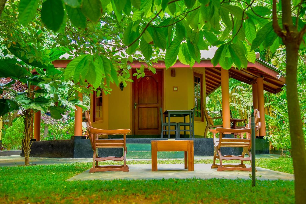 Deluxe Double Room with Bird Watching View