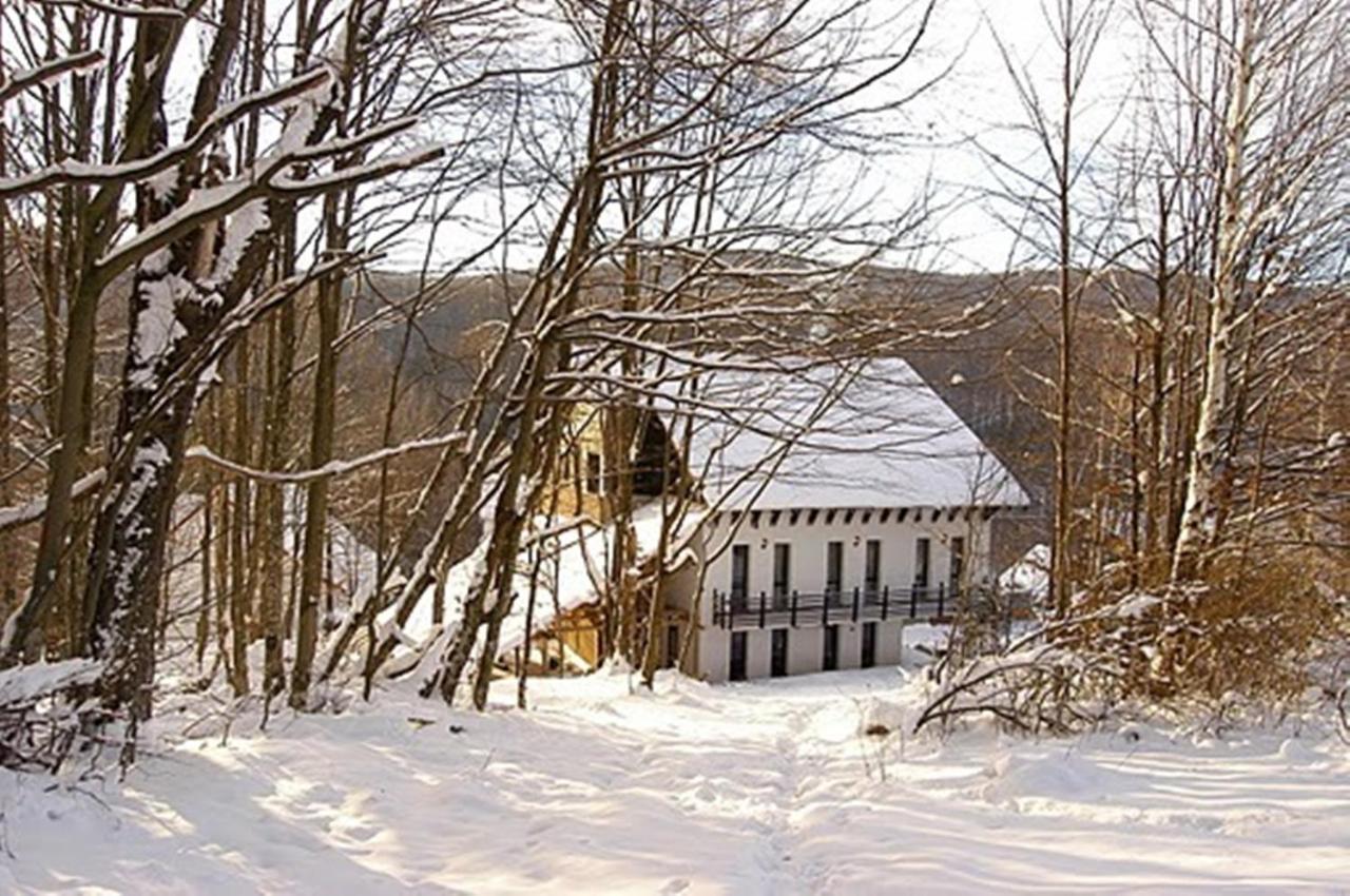 Franzdorf Alpin - B&B
