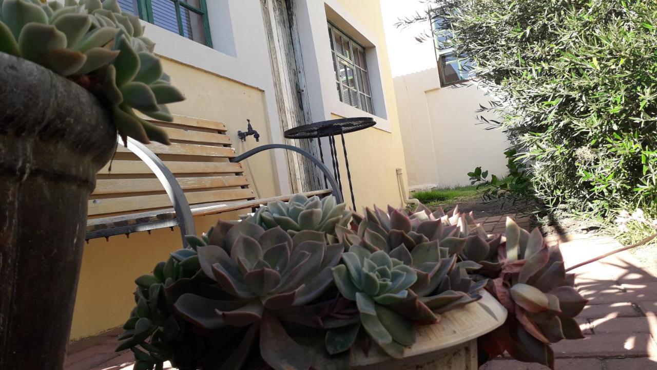 Junior Suite con Vista Giardino