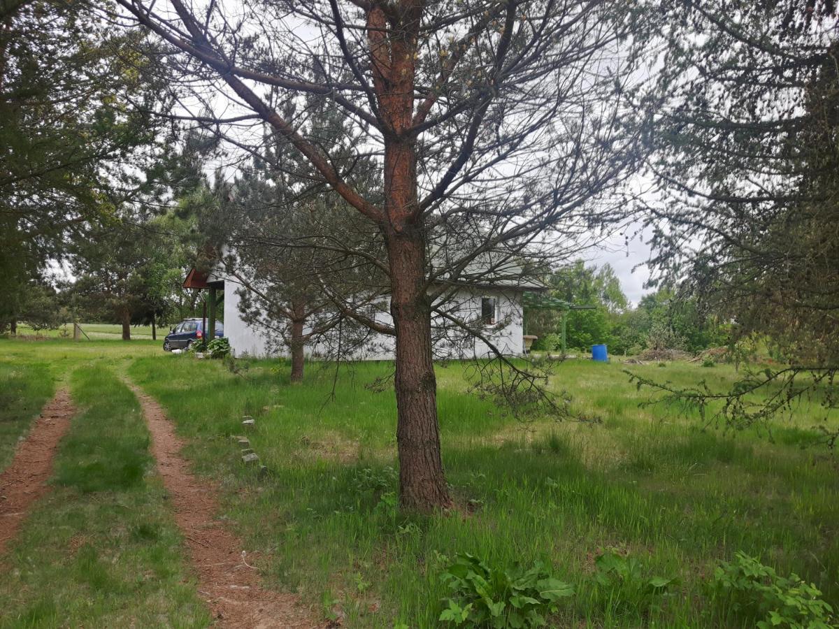 Kaszubskie Marzenie - B&B