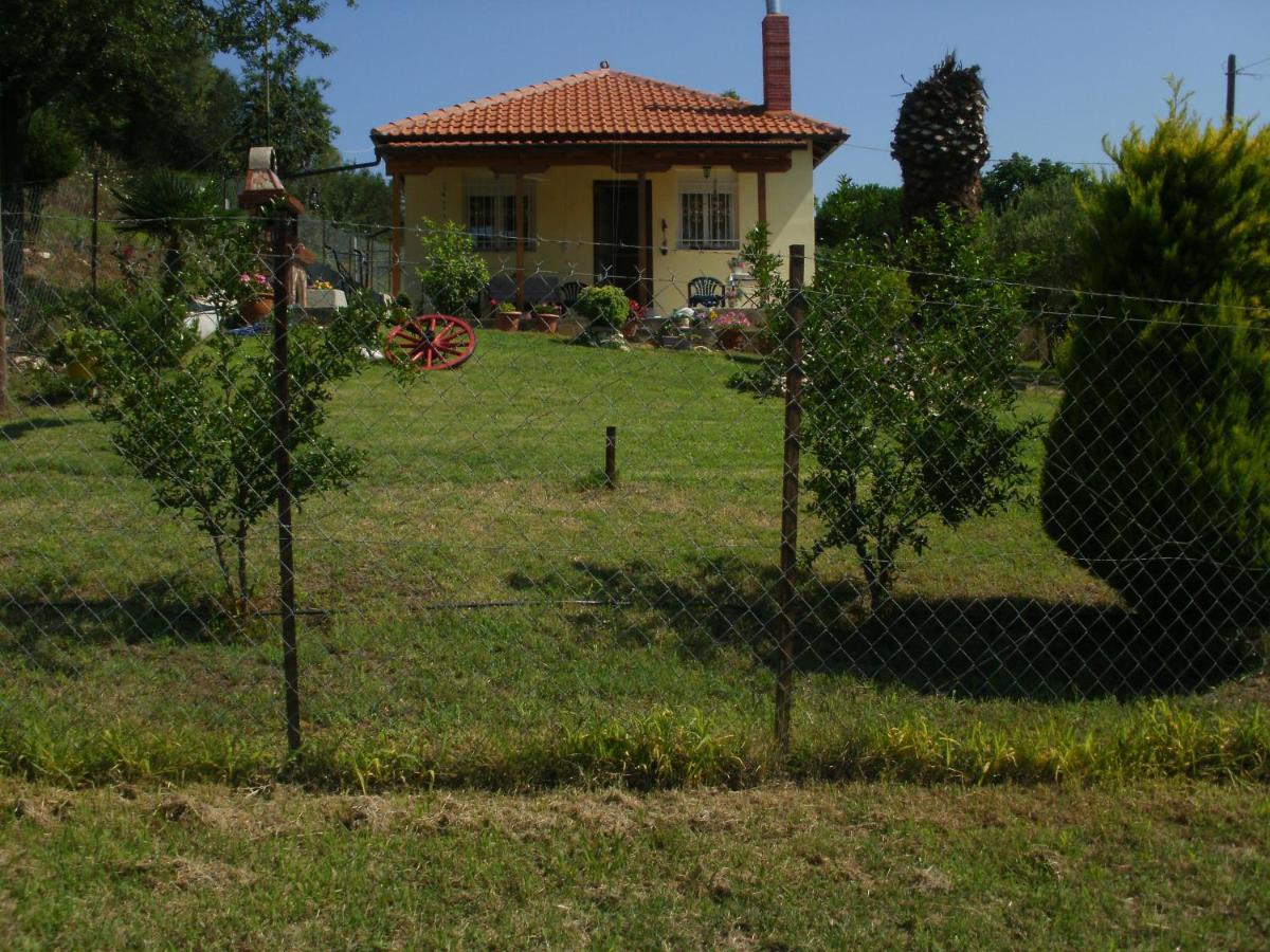 Xerxis Hill/Chalkidiki Τρυπητή Χαλκιδικής - B&B