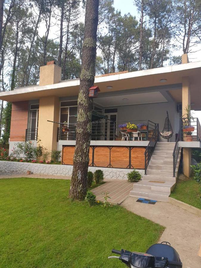Shekvetili Big Wonder - B&B