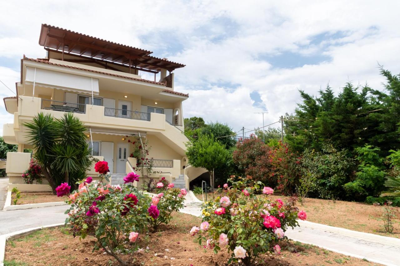 Rose's House (Near Airport) - B&B Loutsa