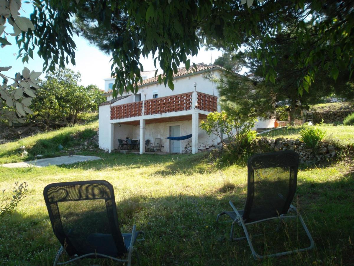 Apartment Damir - B&B