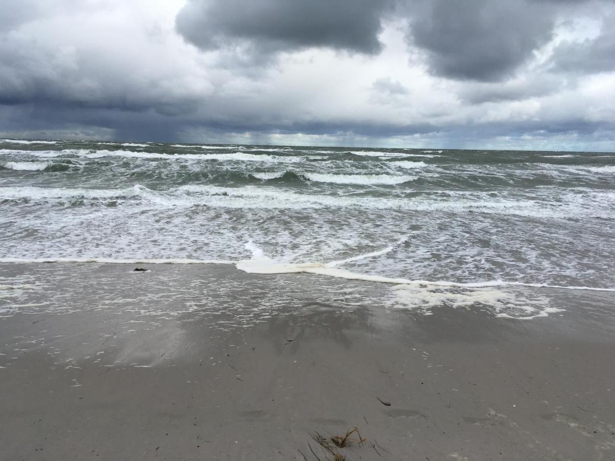 Abendruh Schmiedeberge - B&B Ostseebad Prerow