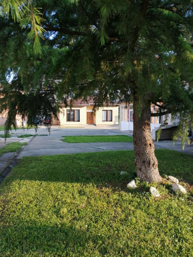 Apartman studio Katarina - B&B