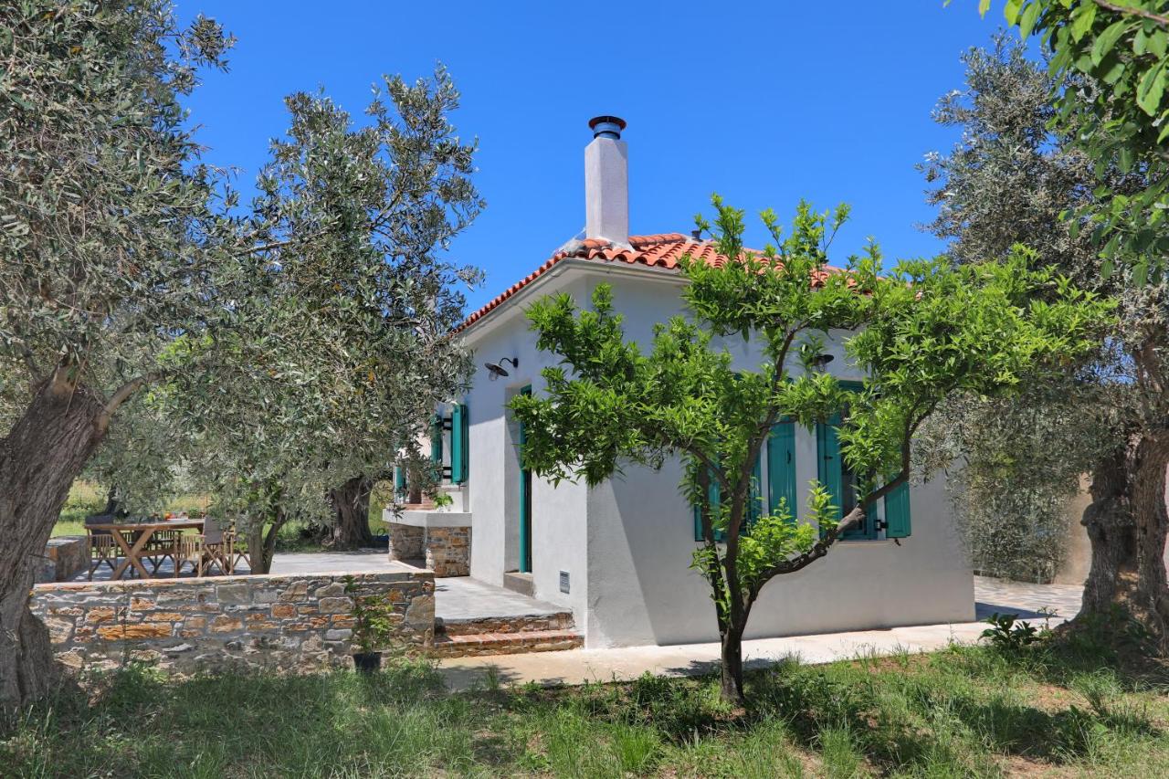 B&B Skopelos Town - The Kampos House - Bed and Breakfast Skopelos Town