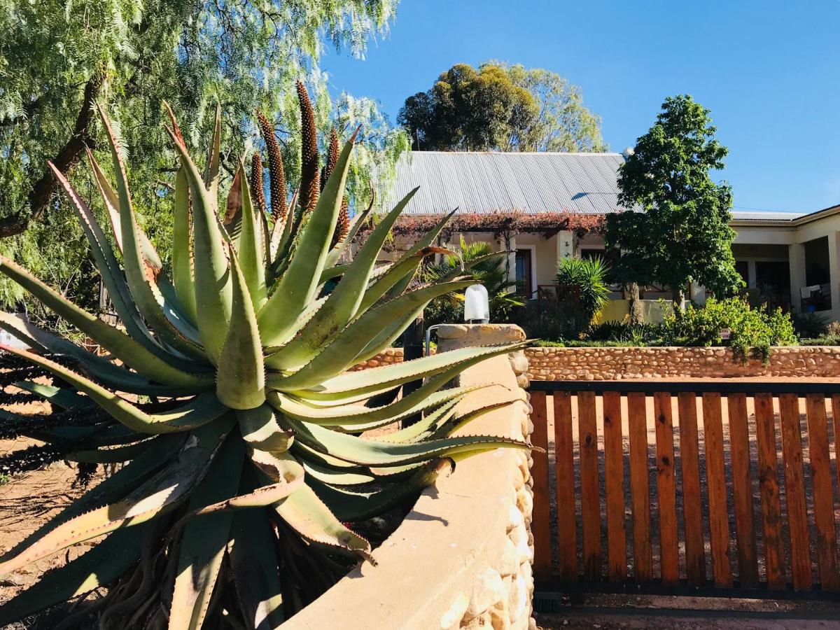 Koedoeskloof Guesthouse - B&B
