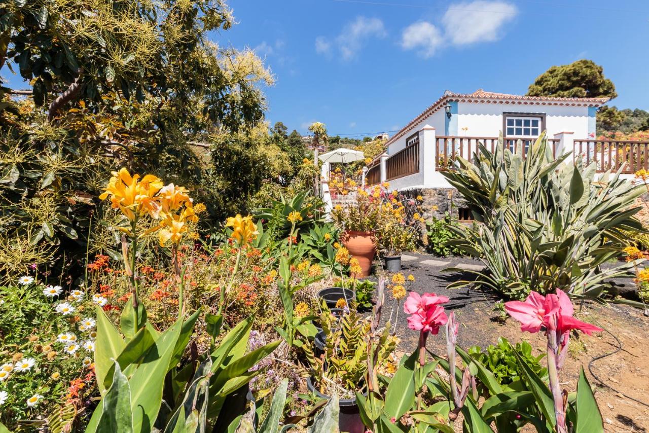 Casa Rural Fidel - Ferienwohnung