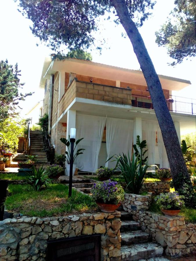 Wunderkammer b&b - Bed and Breakfast Pulsano