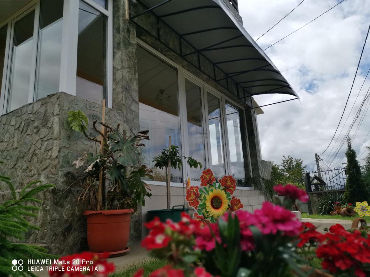 Pensiunea Casa Domnitei - B&B