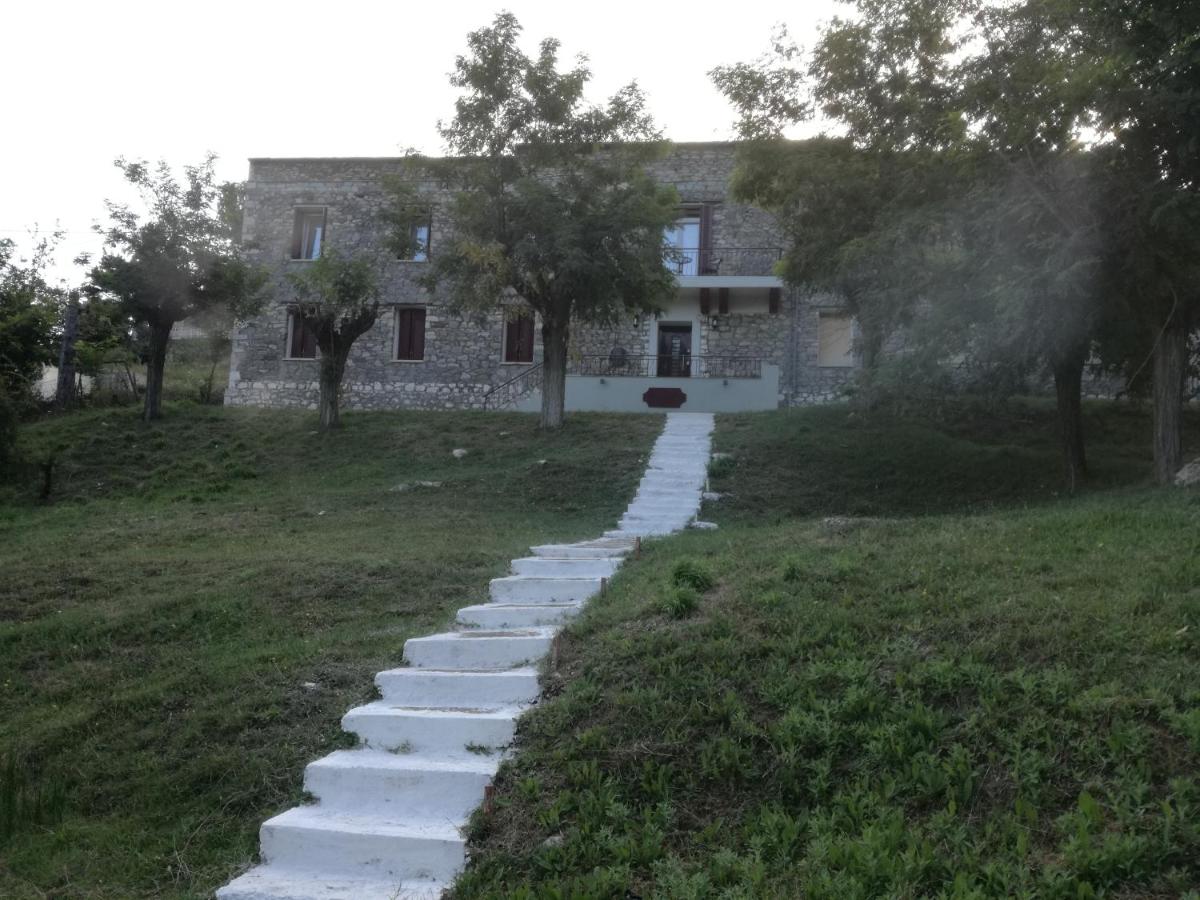 The Magic Mountain - B&B