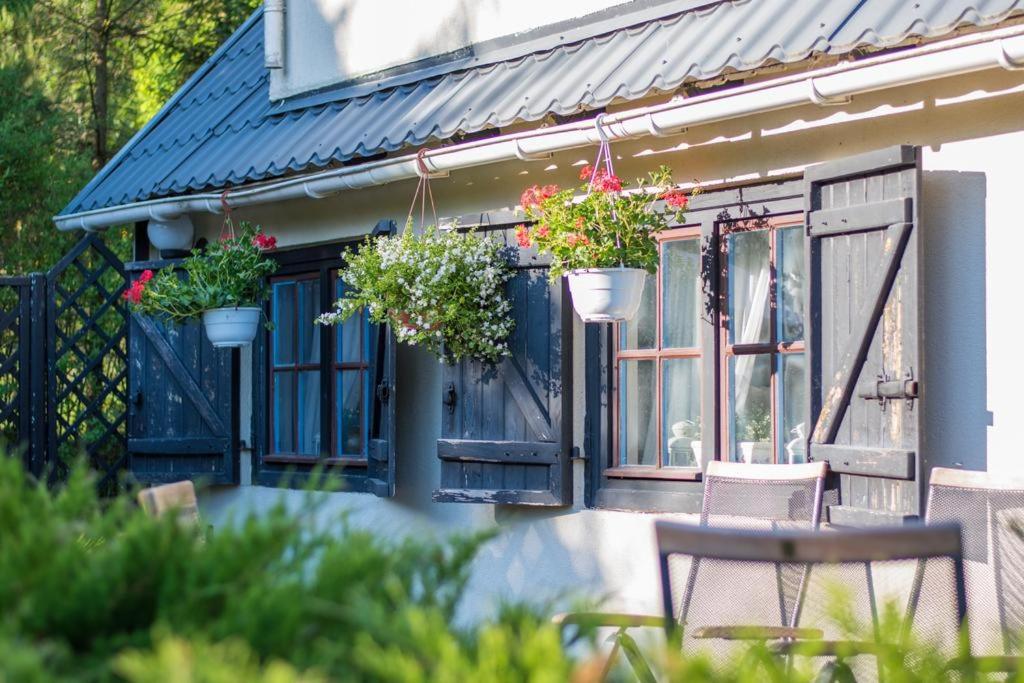 Dom na Kaszubach - Lewinko - B&B